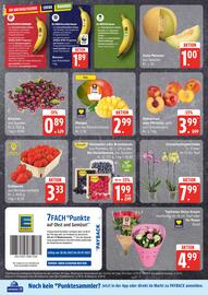 EDEKA Stralsund Prospekt woche 27 Seite 4
