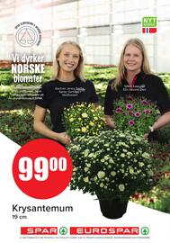 Spar Kundeavis uke 27 Side 17