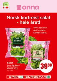 Spar Kundeavis uke 27 Side 8