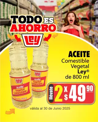 Catálogo Casa Ley
