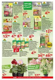 Multi Markt Prospekt woche 27 Seite 18
