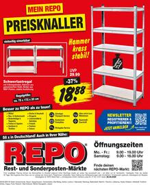 Repo Markt Prospekt woche 27 Seite 11