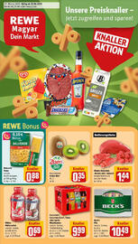 REWE Prospekt woche 27 Seite 1