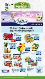 Wasgau Prospekt woche 27 Seite 8