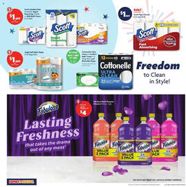 Family Dollar Weekly Ad week 27 Page 13
