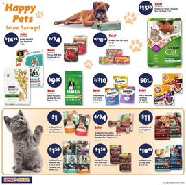 Family Dollar Weekly Ad week 27 Page 15