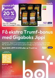 Gigaboks Kundeavis uke 27 Side 8
