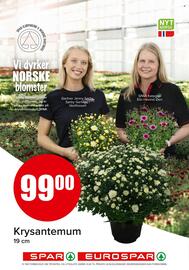 Eurospar Kundeavis uke 27 Side 17
