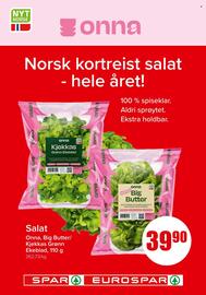 Eurospar Kundeavis uke 27 Side 7