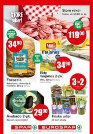 Eurospar Kundeavis uke 27 Side 9