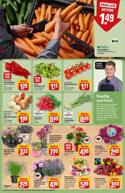 REWE Prospekt woche 27 Seite 9