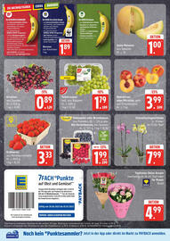 Edeka Prospekt woche 27 Seite 2