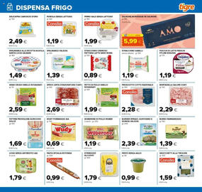 Volantino Tigre Pagina 13