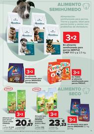Folleto Carrefour Página 13
