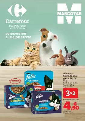 Folleto Carrefour (válido hasta el 10-07)