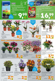Globus Baumarkt Prospekt woche 27 Seite 6