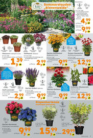 Globus Baumarkt Prospekt woche 27 Seite 7