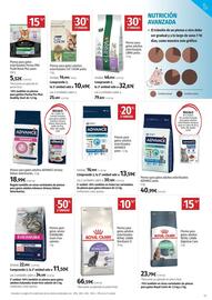 Folleto El Corte Inglés semana 26 Página 13