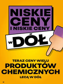 Delikatesy Centrum gazetka tydzień 27 Strona 38