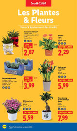 Catalogue Lidl semaine 27 page 26