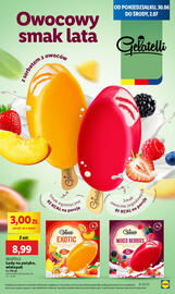 Lidl gazetka Strona 31