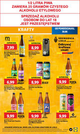 Lidl gazetka Strona 45