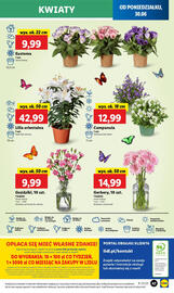 Lidl gazetka Strona 55