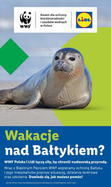 Lidl gazetka Strona 57