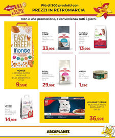 Volantino Arcaplanet Pagina 31