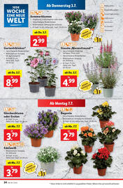 Lidl Flugblatt woche 27 Seite 26