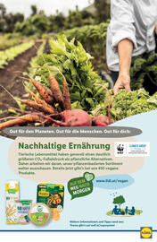 Lidl Flugblatt woche 27 Seite 47