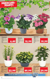 Catalog Kaufland săptămâna 27 Pagină 24
