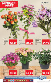 Catalog Kaufland săptămâna 27 Pagină 25