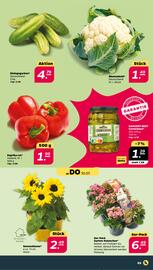 NETTO Prospekt woche 28 Seite 3