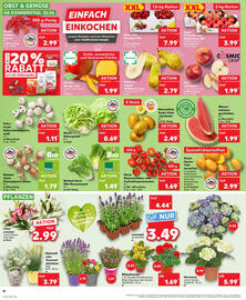 Kaufland Prospekt Seite 21