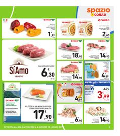 Volantino Spazio Conad settimana 27 Pagina 7
