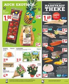 Marktkauf Prospekt woche 27 Seite 3