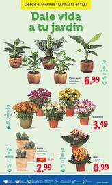 Folleto Lidl | de Bazar Página 13