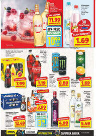 NP Discount Prospekt woche 27 Seite 10