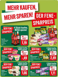 Feneberg Prospekt Seite 13