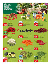 Feneberg Prospekt Seite 8