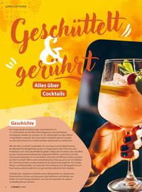 V Markt Prospekt Seite 6