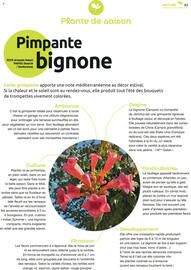 Catalogue Mr Bricolage page 83