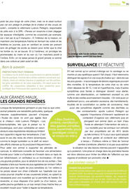 Catalogue Mr Bricolage page 95