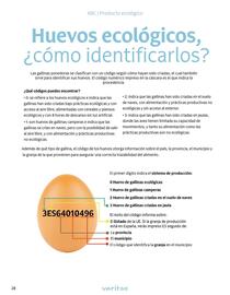 Folleto Veritas Página 28