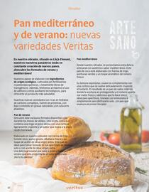 Folleto Veritas Página 42