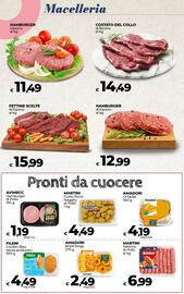 Volantino Ipercoop Radenza Pagina 14