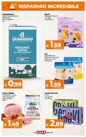 Volantino Ipercoop Radenza Pagina 3
