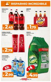 Volantino Ipercoop Radenza Pagina 5