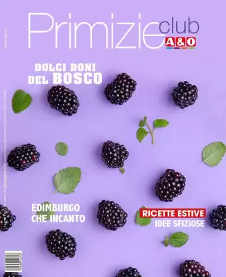 Volantino A&O (valido fino al 31-08)